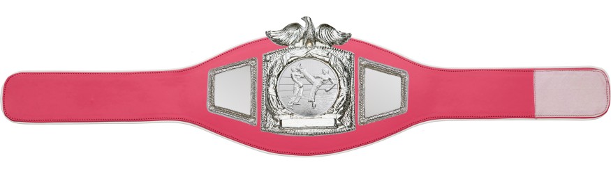 PROEAGLE KICKBOXING CHAMPIONSHIP BELT - PROEAGLE/S/KBOS - AVAILABLE IN 6+ COLOURS PROEAGLE KICKBOXING CHAMPIONSHIP BELT - PROEAGLE/S/KBOS - AVAILABLE IN 6+ COLOURS